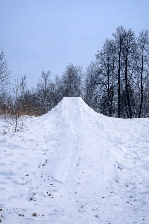 Дом с баней в липах