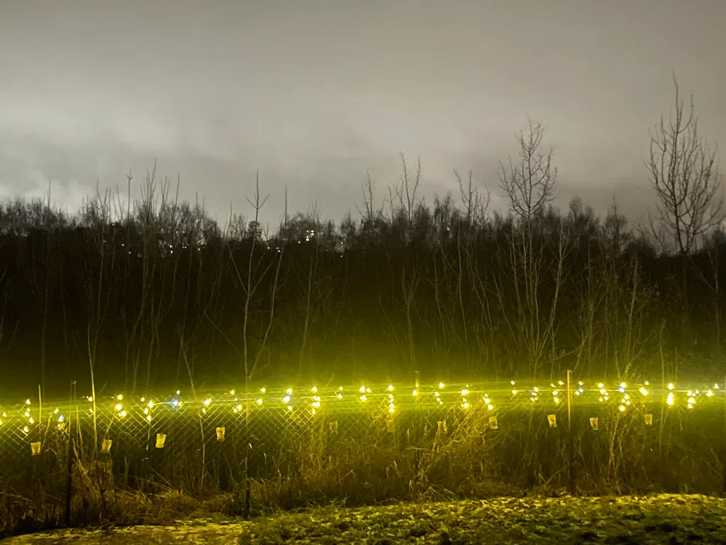 Уютный дом в тихом красивом месте