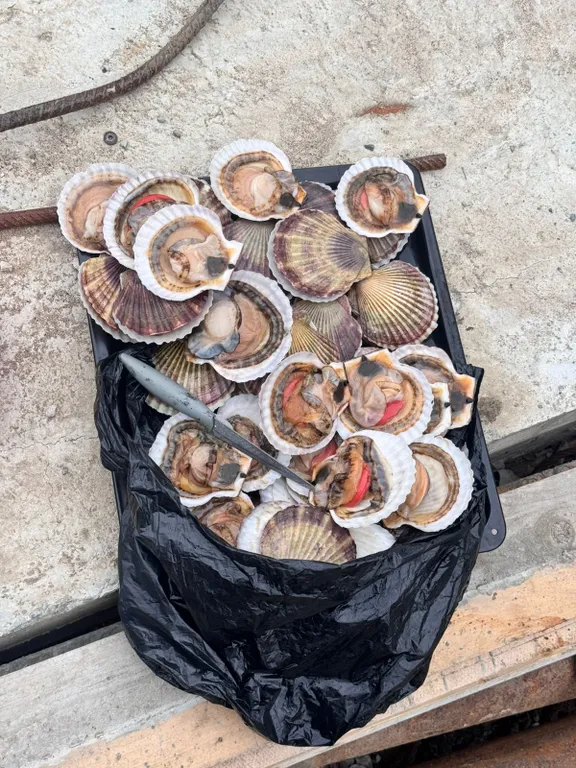 Уютный номер с красивым видом на море круглогодично