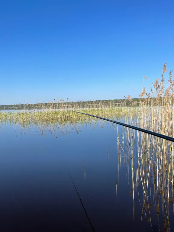 Дом-баня у озера оконо (15 км от г. Лепель)