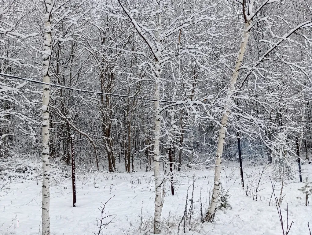 Уютный домик с комфортом  в лесу