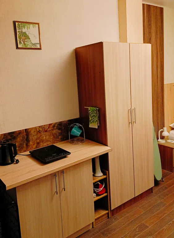 Уютная номер-студия с собственной кухней и всеми удобствами на двоих