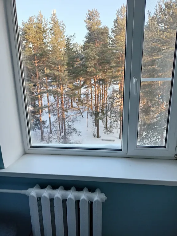 С видом на лес