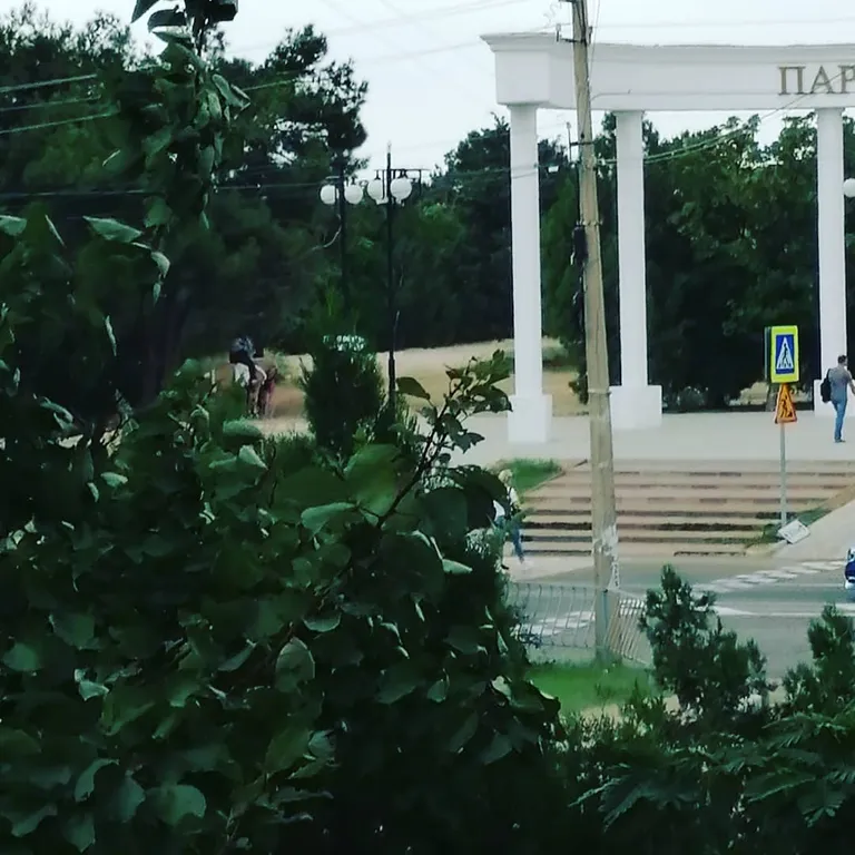 Квартира у моря Парка Победы на первой линии