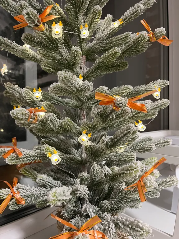 Квартира Квартира в Заволжском районе — Ярославль