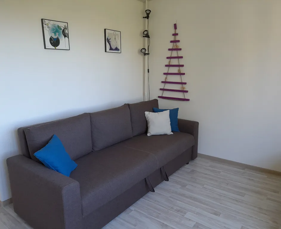 Квартира в центре на Горького — аренда посуточно в Петрозаводск