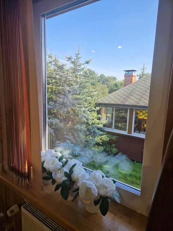 Дом с финской сауной внутри дома с большой беседкой и барбекю