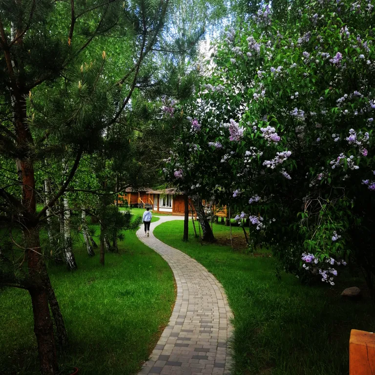 Уютное бунгало в парк-усадьбе Вишня