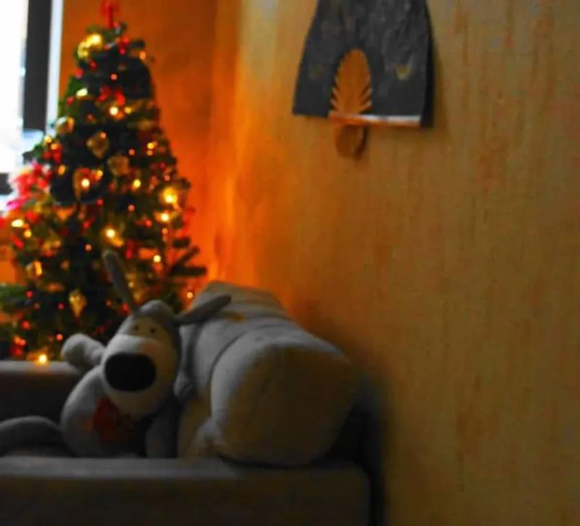 Апартаменты с джакузи в историческом центре