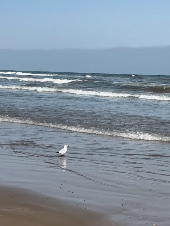 Частный дом у моря, до пляжа  2 мин пешком. Отличная локация.