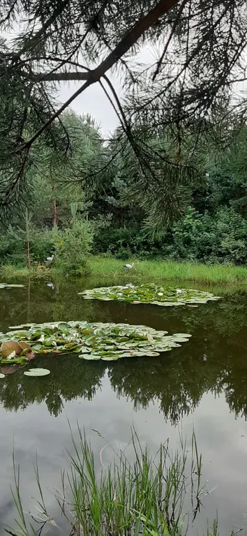 Большой загородный дом