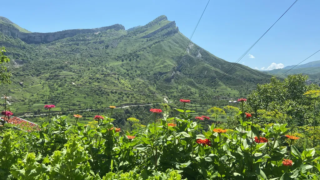 2-комнатный Дом