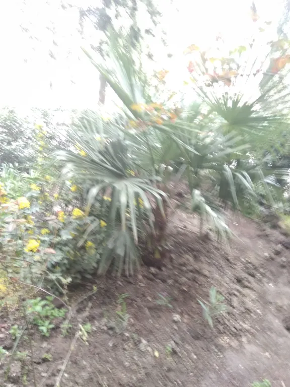 Уютная 2-комнатная квартира модельным входом с улицы