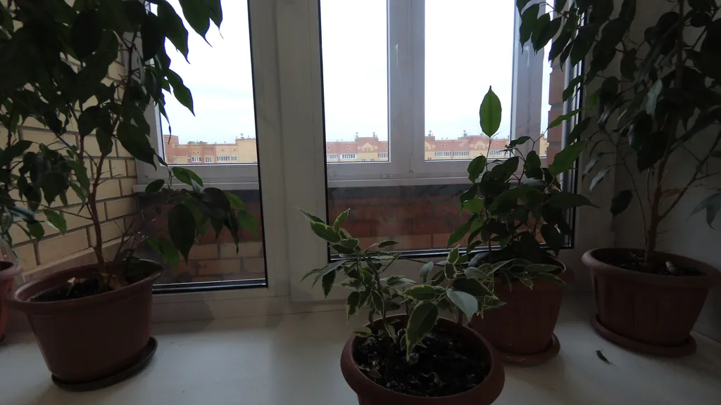 Уютная квартира в ЖК Мирный