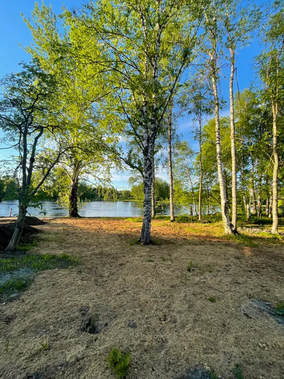 Отдых в тишине у реки