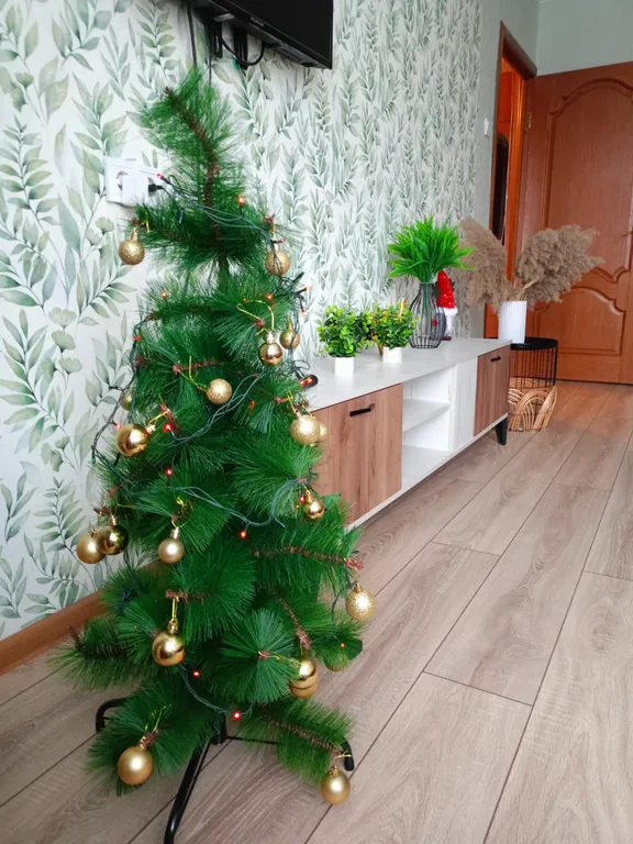 Уютная квартира в центре — аренда посуточно в Петергоф