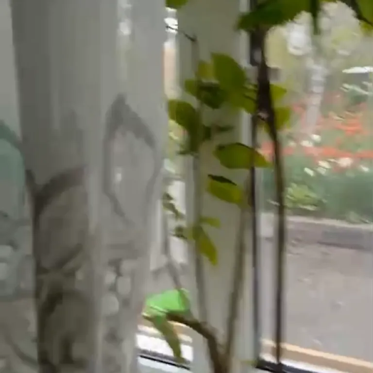 Домик с цветущим садом