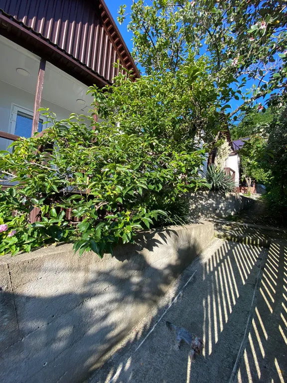 Уютный домик среди гор