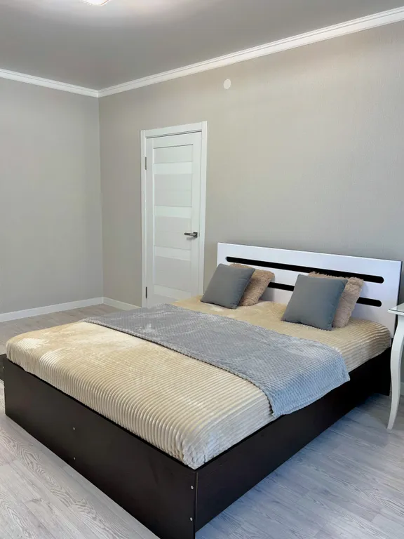 1-комнатная квартира с проектором