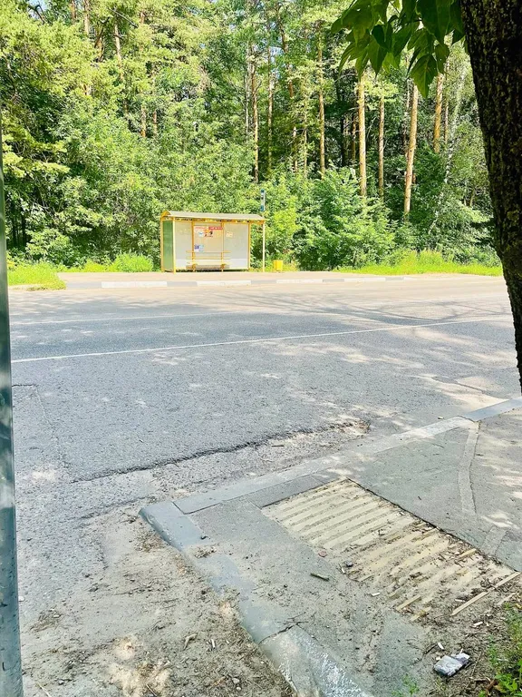 Комфортная студия в сосновом бору