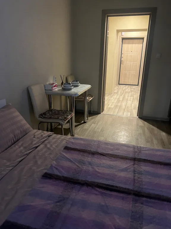 Уютная студия в центре Благовещенска