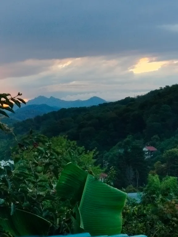 Коттедж Отдельный дом рядом с морем — Сочи