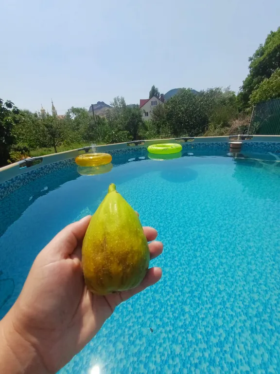 3х-местная комната в центре с балконом и видом на горы