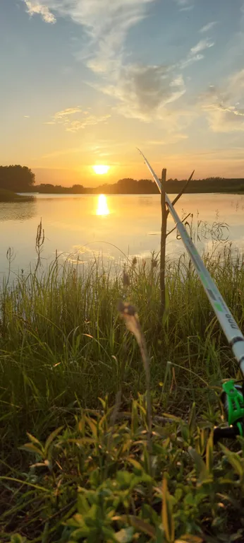 Двухместный дом с террасой