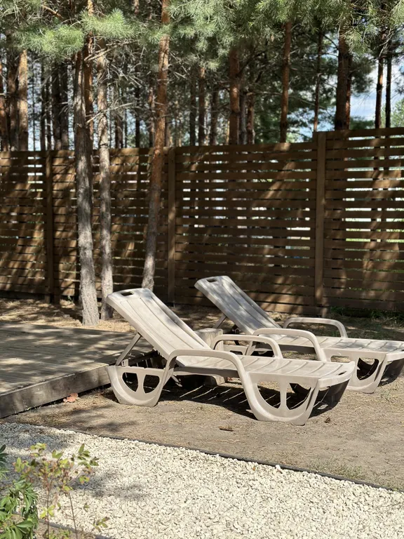 Домик в сосновом лесу