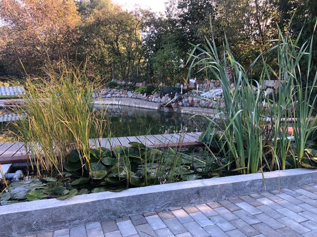 Домик у озера (с баней и сибирским чаном)