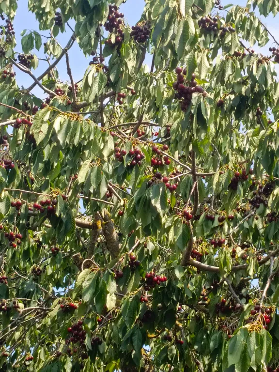 Дом на Азовском море