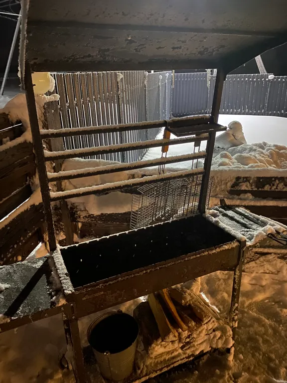 Шале у всесезонного курорта Игора и Игора драйв