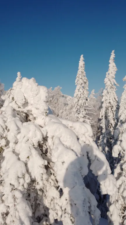 Уютный гостевой дом в красивом тихом месте