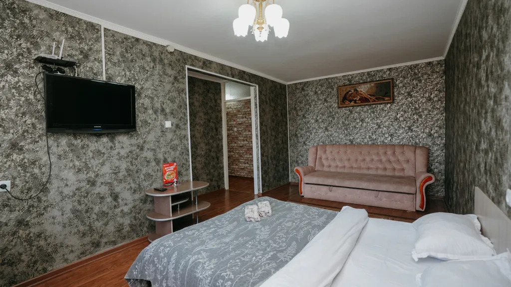 Econom Bagira, просторная однушечка в центре