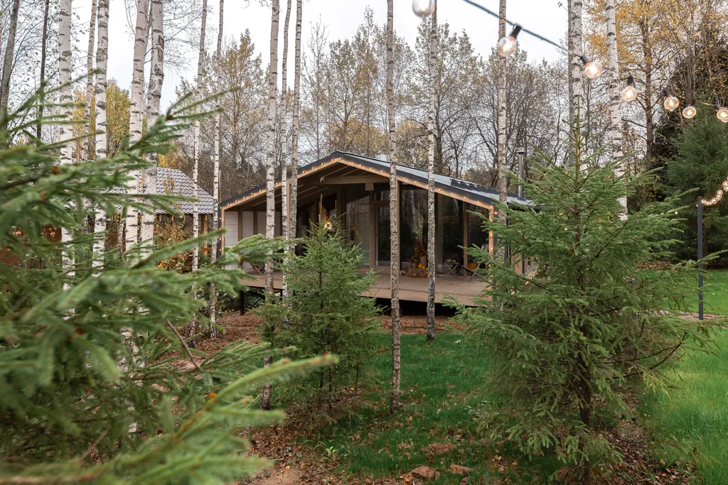 Chalet forest