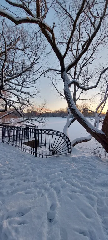 Большая квартира на Ольгином пруду.