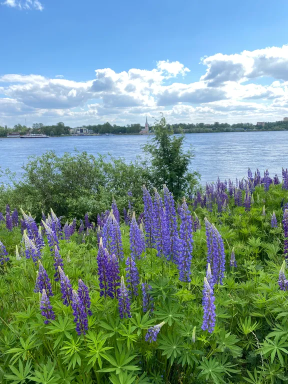 Коттедж Новый коттедж Орешек — им. Морозова