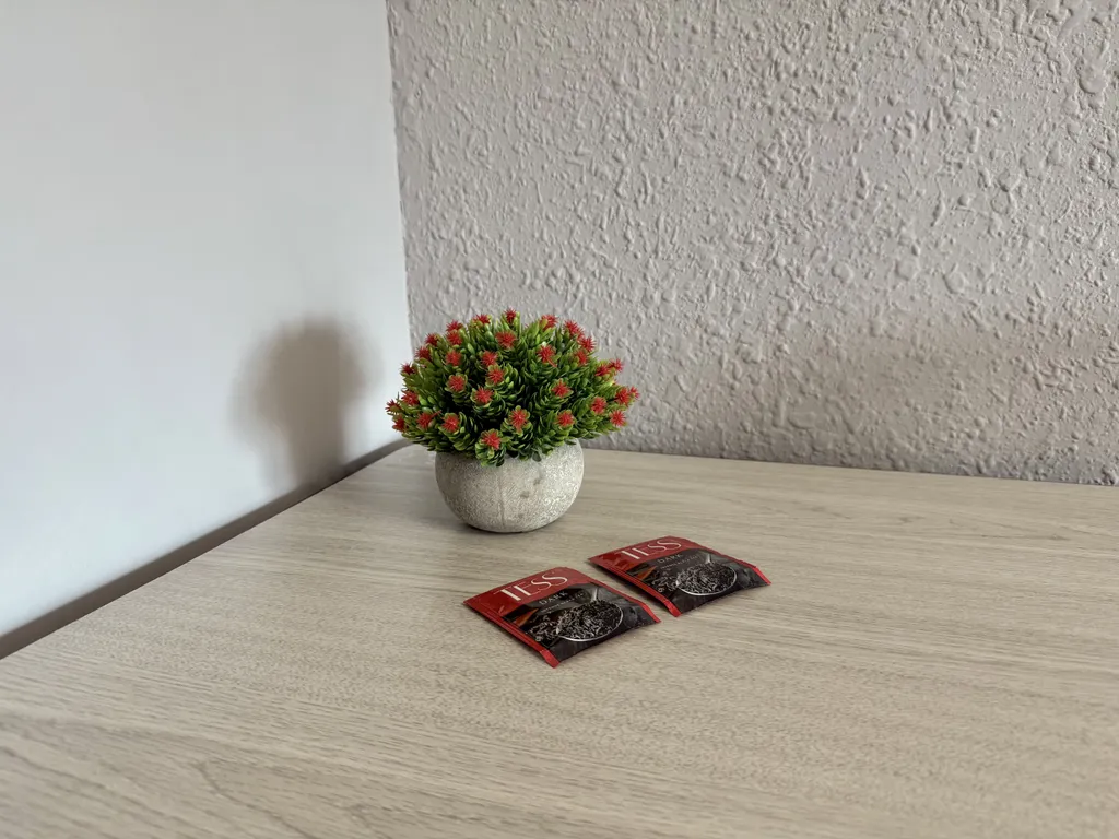 Уютная студия в центре города