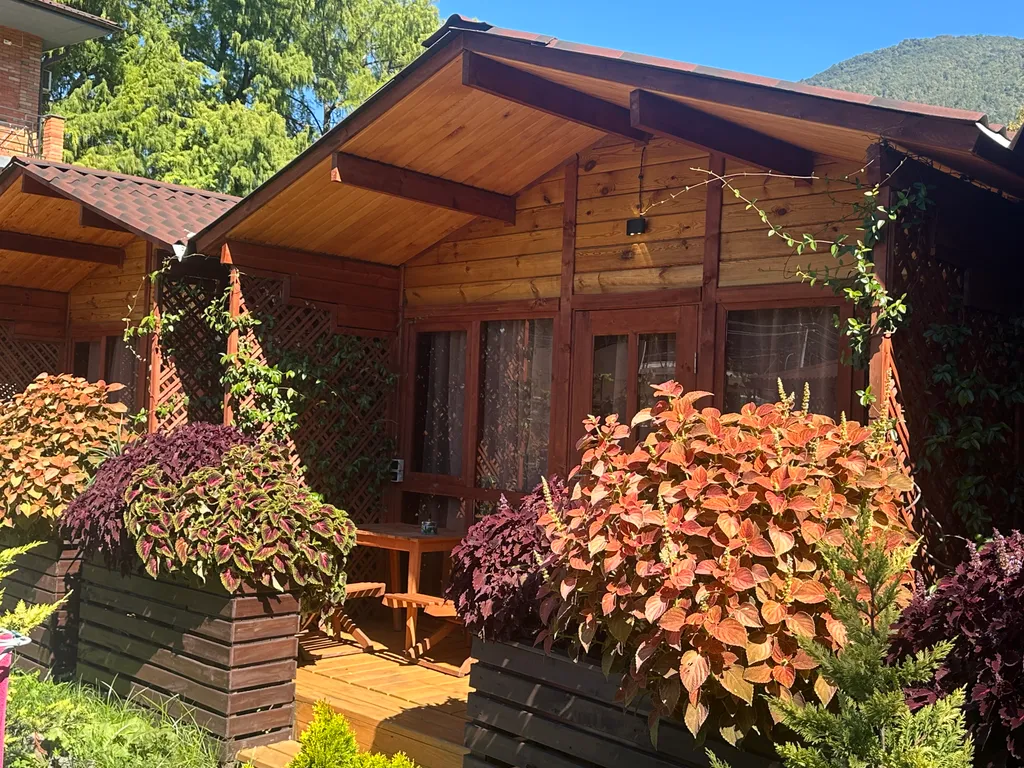 Коттедж 1-комнатный Дом — Гагра