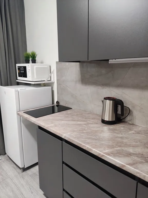 Студия в Вишневой горке