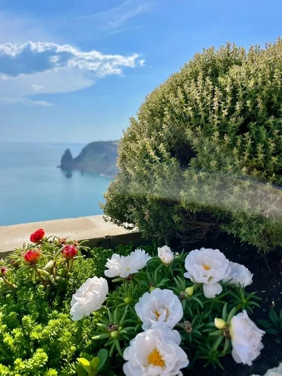 Квартира Квартира у моря — Севастополь