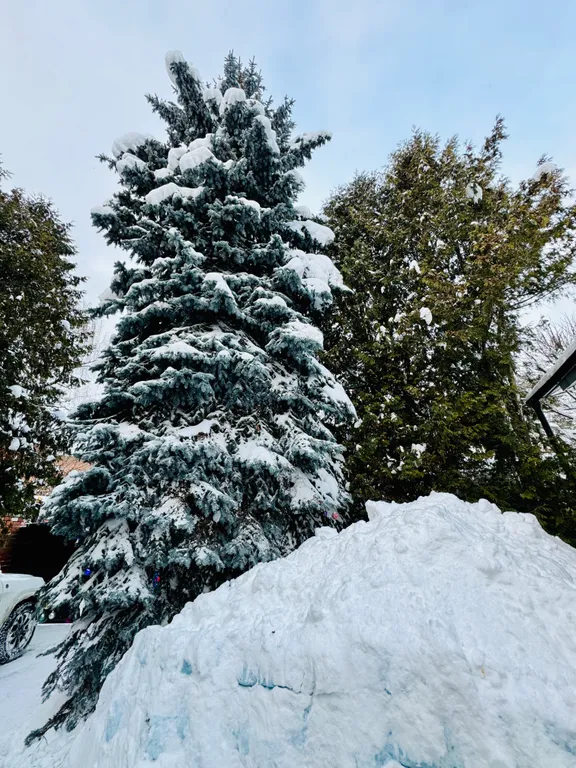 Уютный дом с тёплым бассейном и без подводных камней