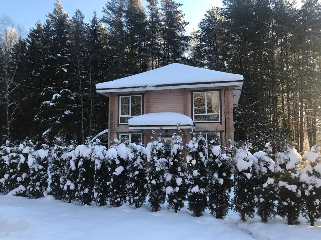 Дом берендей