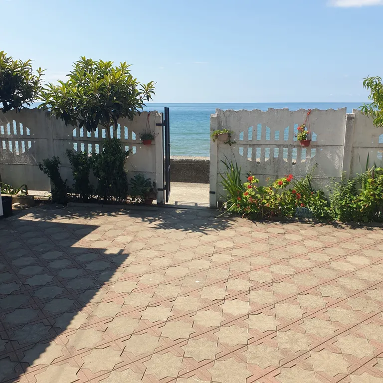 Живи у самого берега моря