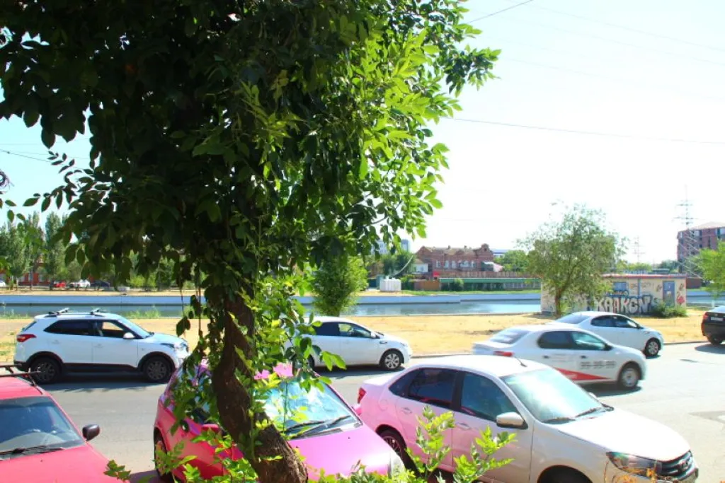 Квартира в Купеческом доме с видом на Красную набережную