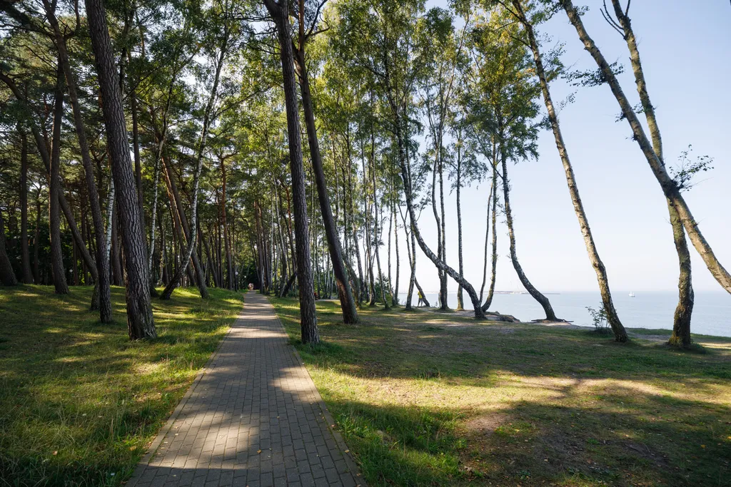 Уютная квартира рядом с морем