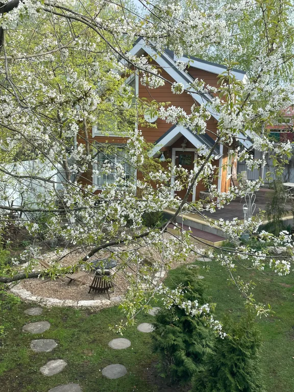 Домик-баня с камином