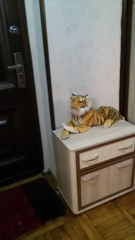 Отдых у Ольги