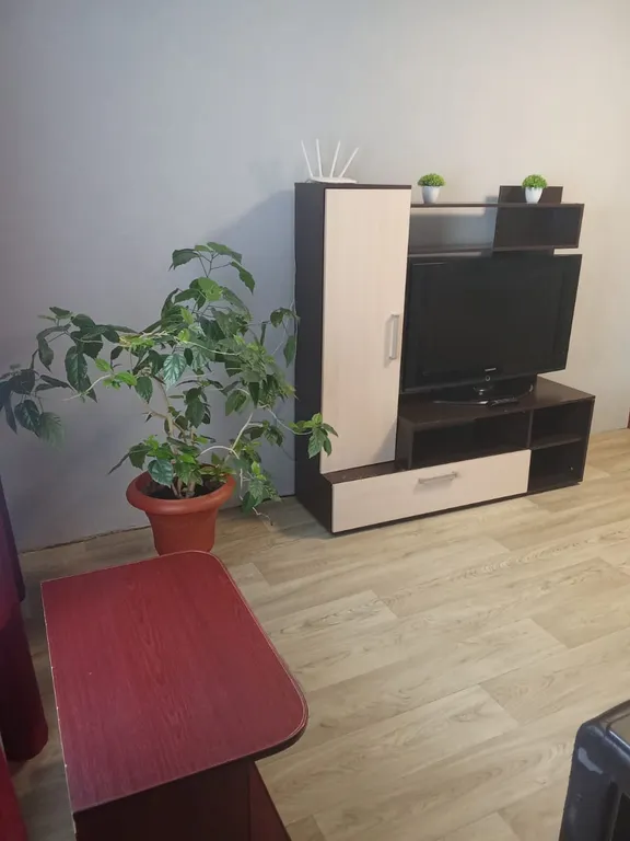 Трёхкомнатная квартира после косметического ремонта