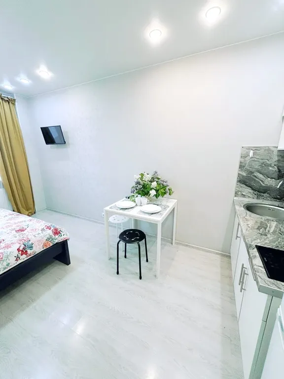 Квартира Квартира Уютная студия — Шушары